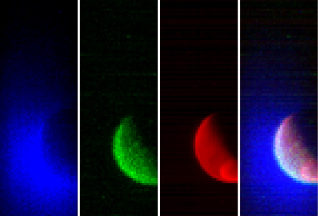 Mars polar ice: The clear evidence for life on the Red Planet